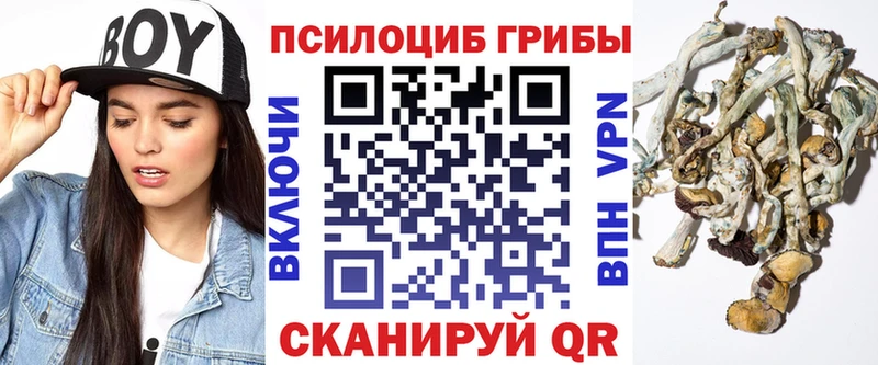 Купить закладки  Среднеколымск  Псилоцибиновые грибы Magic Shrooms 